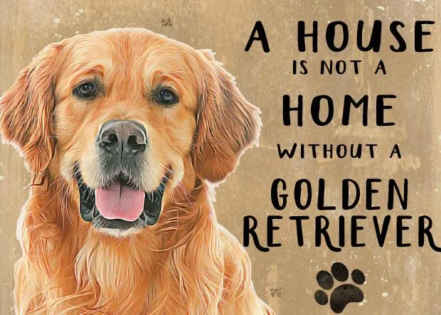 A House is not a Home without a Golden Retriever