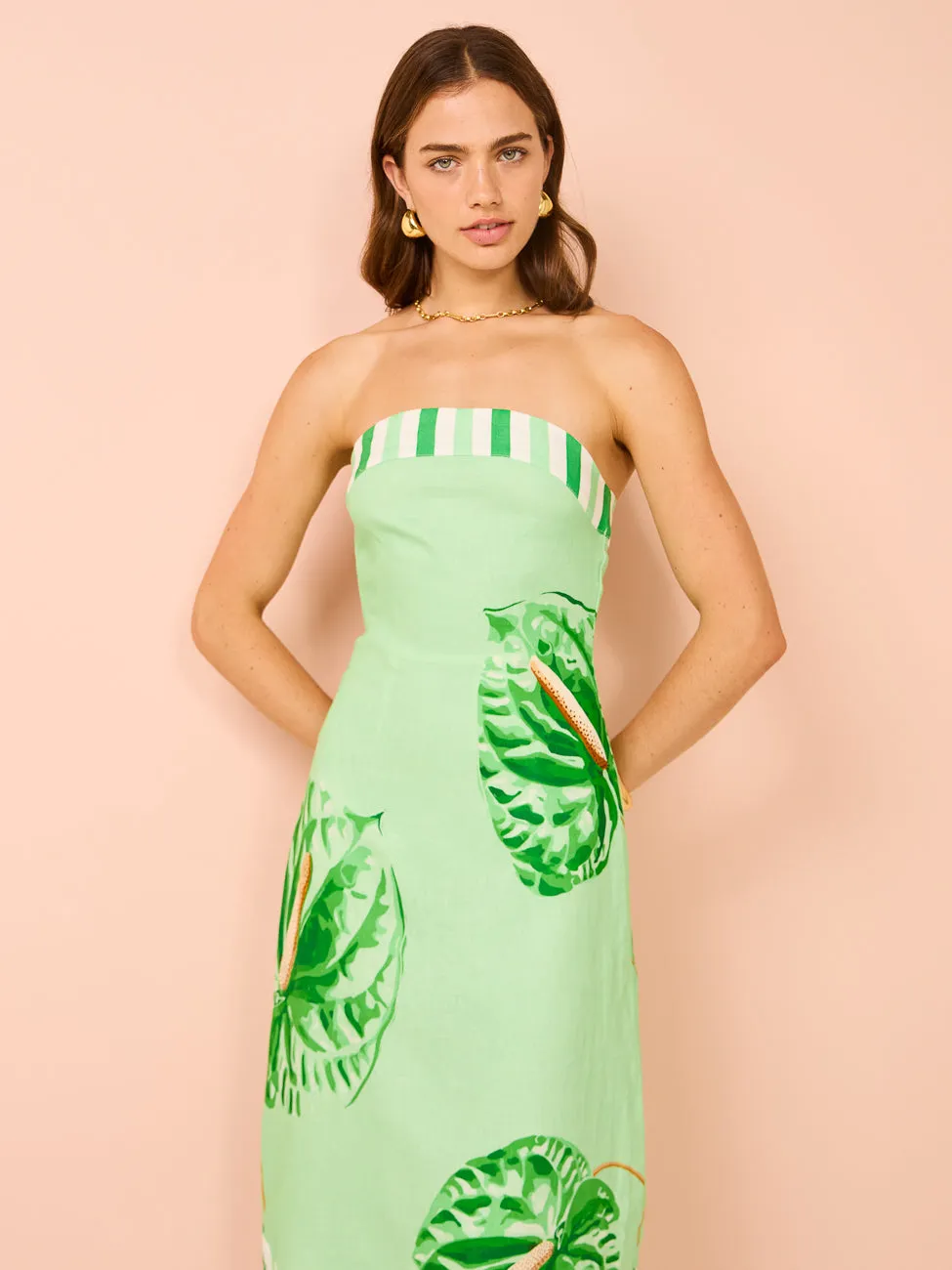 Aston Studio Maeve Dress in Midori Anthurium