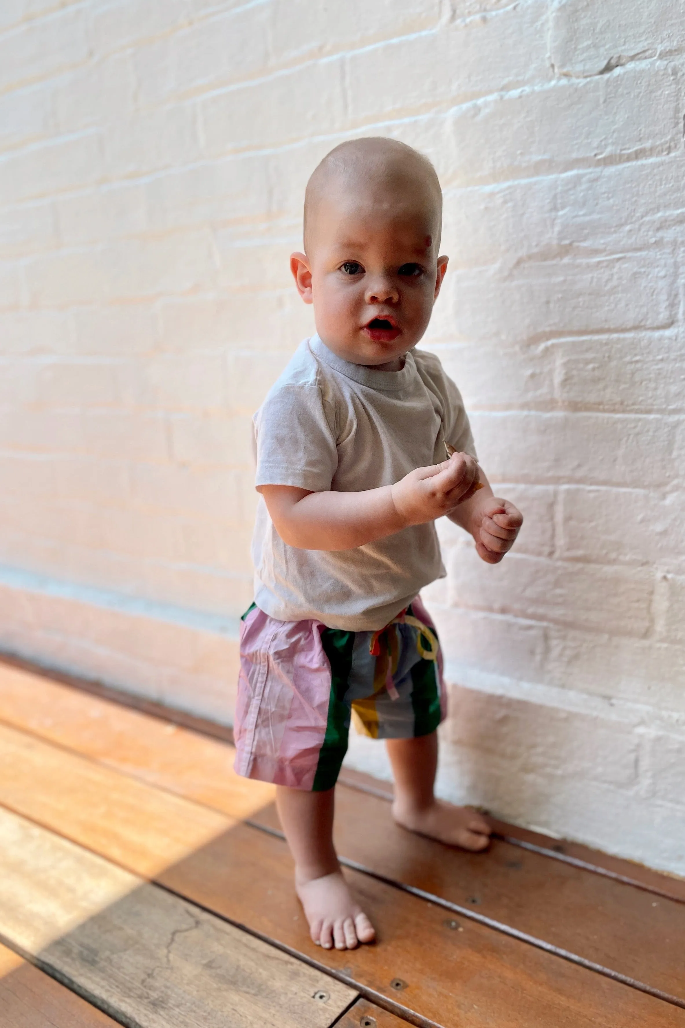 Baby Boy's Shorts - Cotton - Christmas Stripe