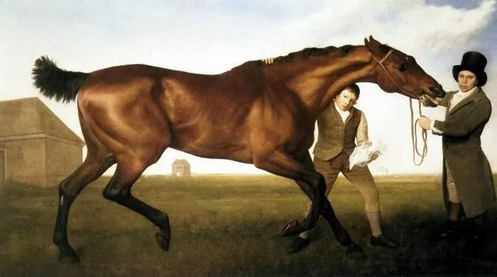 Hambletonian, Rubbing Down