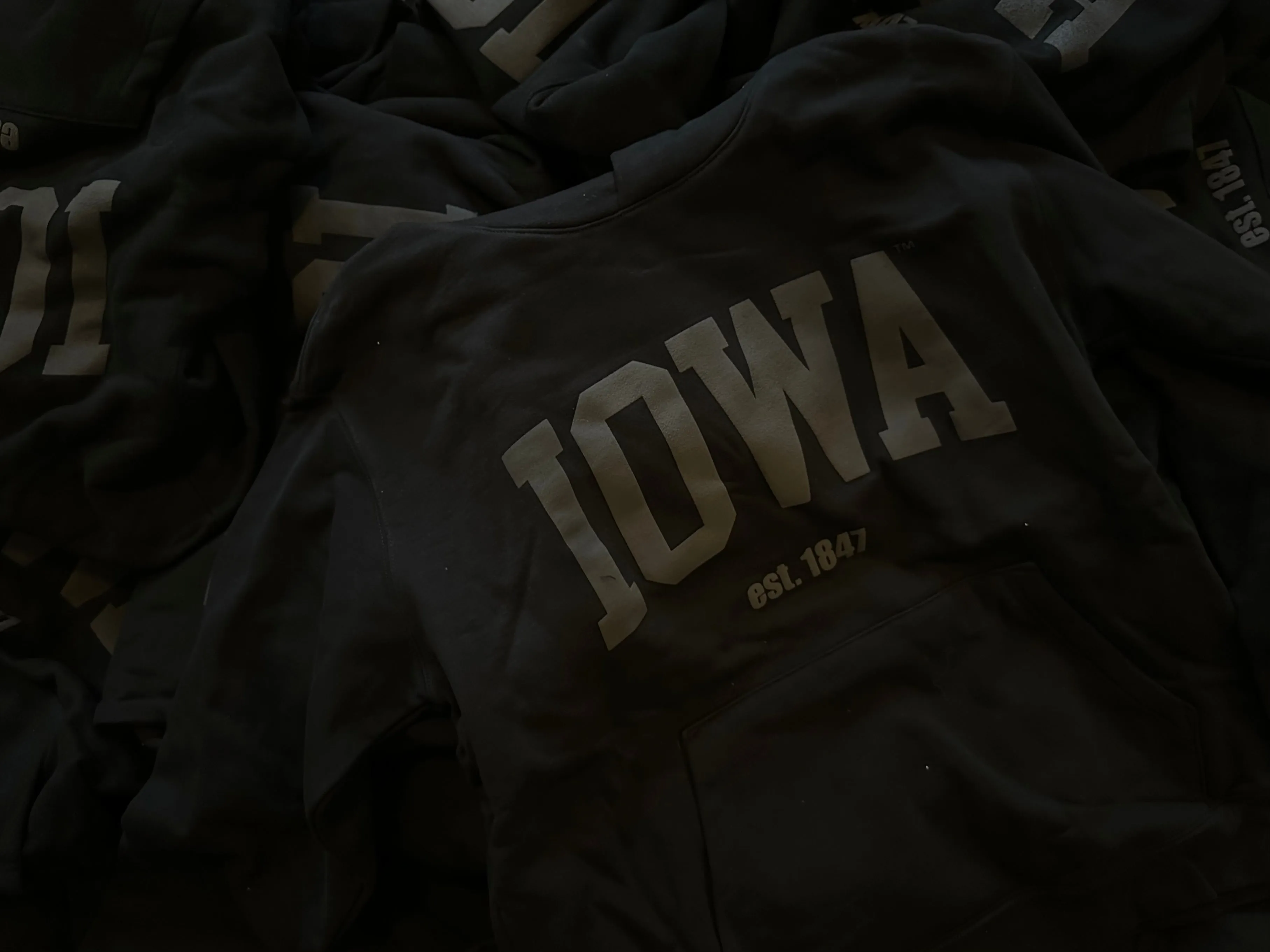 Iowa Puff Print Hoodie